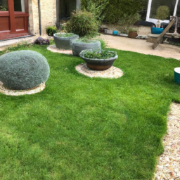 Techniques de taille pour maintenir un jardin esthétique et en bonne santé Vandoeuvre-les-Nancy